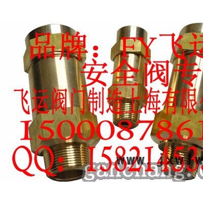 FY飛運(yùn)供應(yīng)空調(diào)制冷安全閥冷凝器蒸發(fā)器冷凍機(jī)安全閥SFA-22C300T安全閥