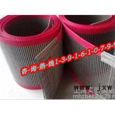 專業(yè)生產(chǎn)-涂布機(jī)烘箱輸送帶，上光機(jī)輸送帶，IR紅外烘干輸送帶