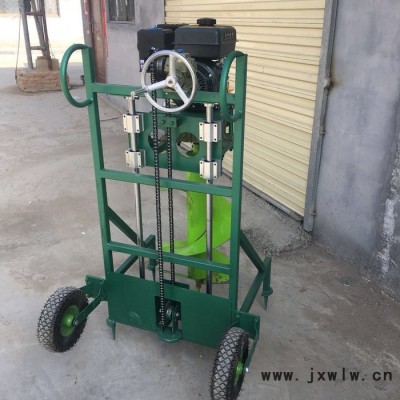 河南蒙古族自治縣手推栽植挖坑機(jī) 圍欄立柱打孔機(jī) 公園栽植打孔機(jī)廠家