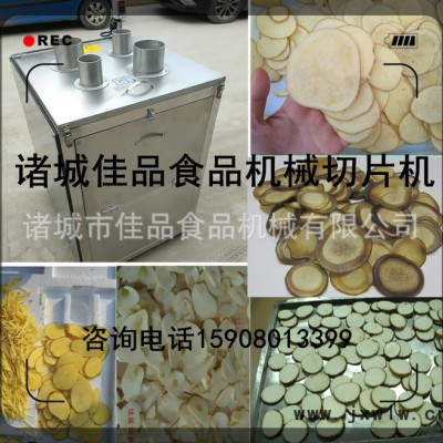 新疆內(nèi)蒙甘肅陜西水果蔬菜切片機 果蔬切割機