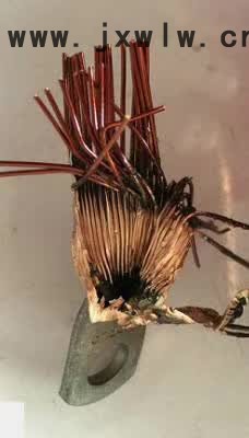 工巧智能科技 GQH-01電機端子壓接漆包線免去漆皮 焊接機 漆包線焊接設(shè)備 ** 質(zhì)保價廉