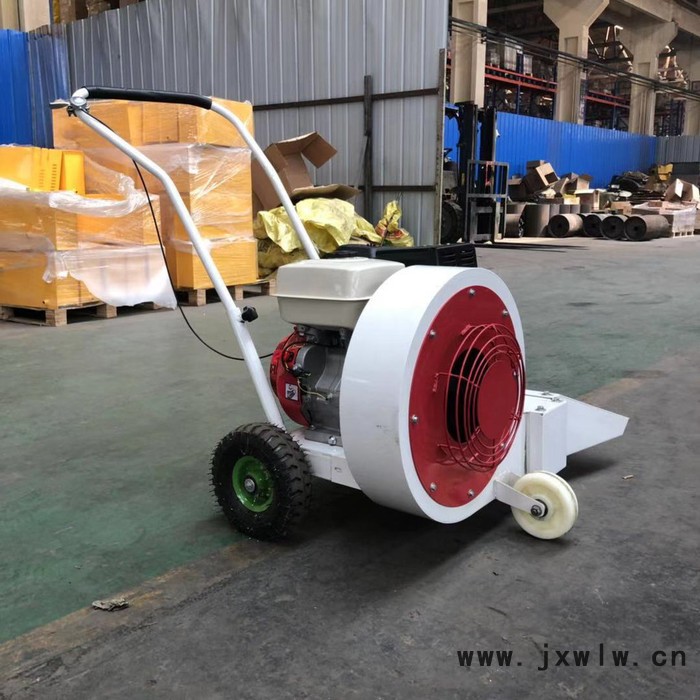 低價供應(yīng)道路清理吹風(fēng)機 手推式吹風(fēng)機