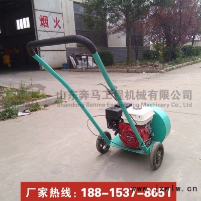 小型馬路吹風(fēng)機(jī) 混凝土裂縫吹風(fēng)機(jī) 汽油吹風(fēng)機(jī)園林吹灰塵石子 路面吹風(fēng)機(jī)