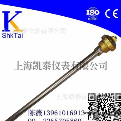 專(zhuān)業(yè)制造溫度儀表 WRN-130無(wú)固定裝配式熱電偶長(zhǎng)度3米
