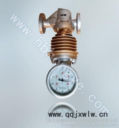 泊頭儀表廠 河北泊頭旋翼式蒸汽流量計(jì) 機(jī)械式蒸汽老表