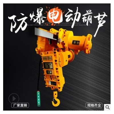 四級粉塵防爆電動葫蘆1t氣體防爆380v環(huán)鏈電動葫蘆2t防爆葫蘆直營